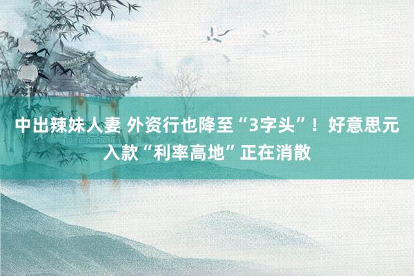中出辣妹人妻 外资行也降至“3字头”！好意思元入款“利率高地”正在消散
