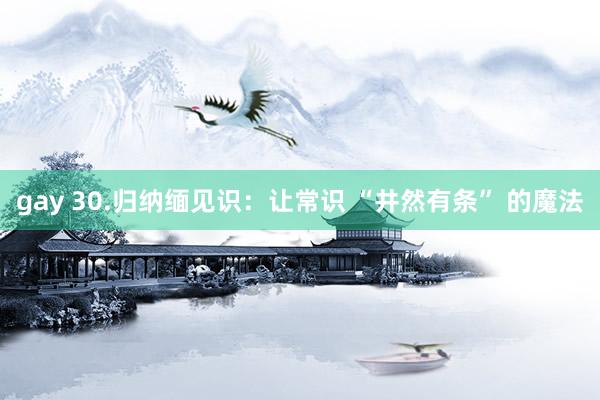 gay 30.归纳缅见识：让常识 “井然有条” 的魔法